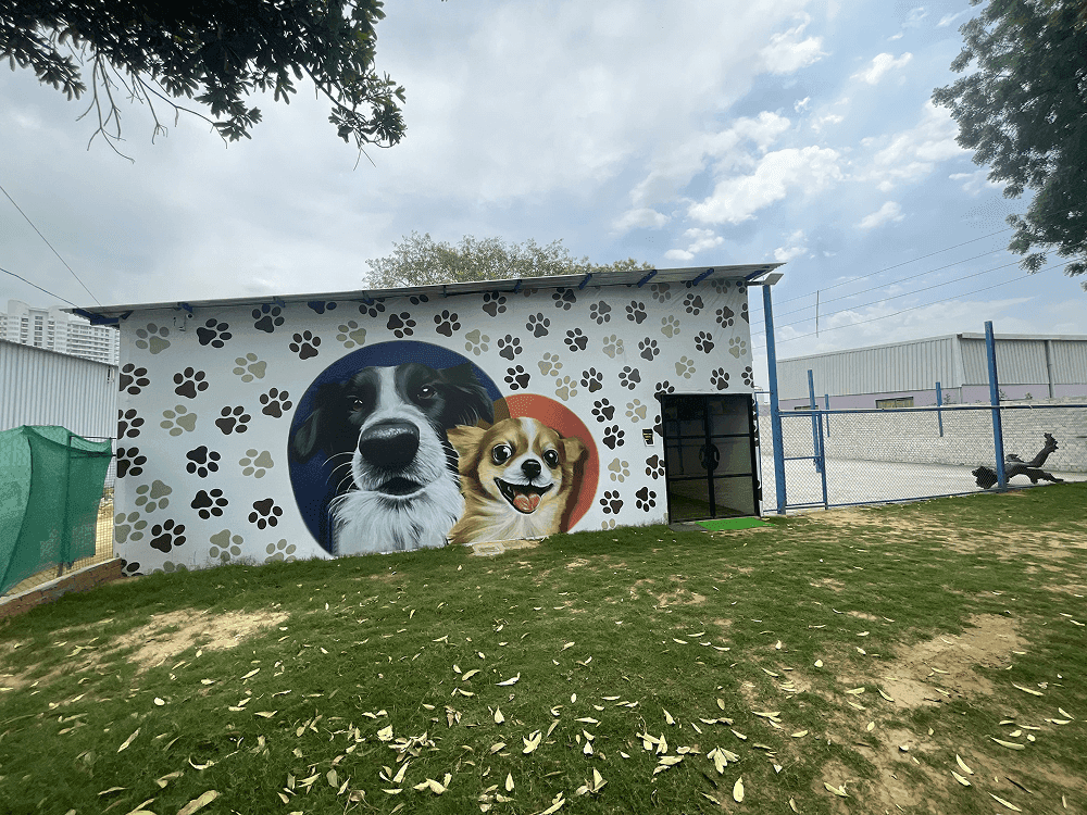 Ultimutt - 5 Star Pet Resort